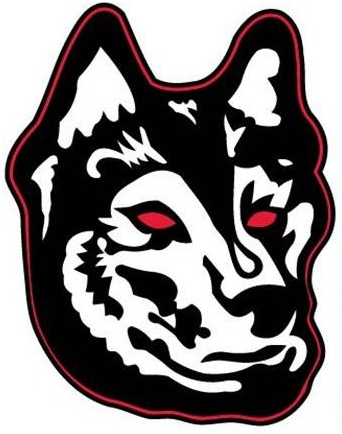 Northeastern Huskies 2007-Pres Alternate Logo v2 diy iron on heat transfer